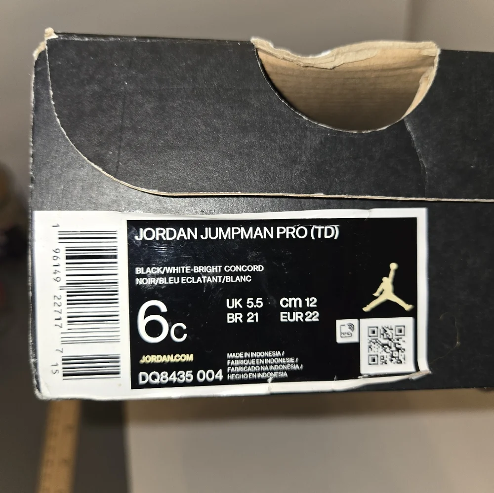 Jordan Jumpman Pro TD 6C Black and Purple Sneakers